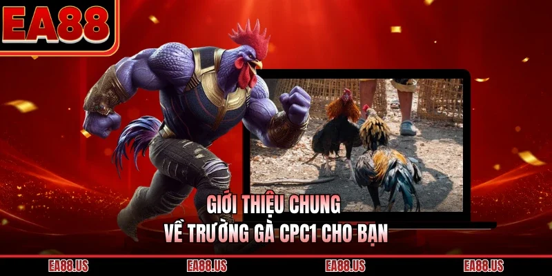 Giới thiệu chung về trường gà CPC1 cho bạn 