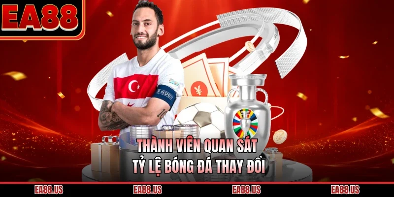Thành viên quan sát tỷ lệ bóng đá thay đổi